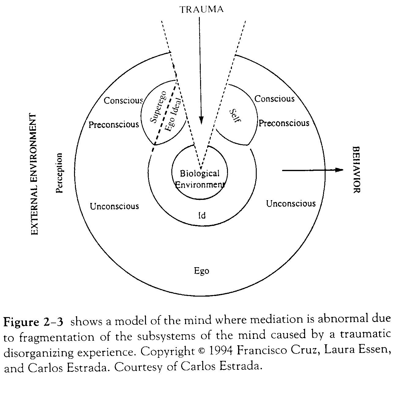 Model of  the Mind Childhood Sexual Trauma CEUs